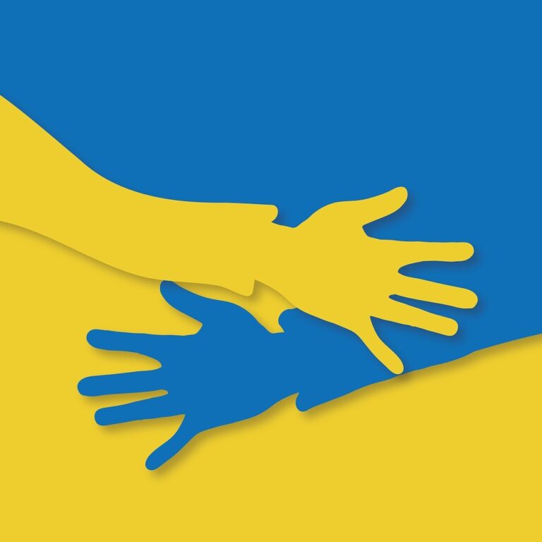 hands, support, ukraine-7064414.jpg