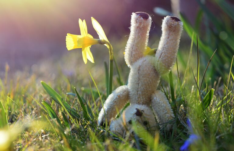 Auf den Kopf gestellt – Impuls zum 32. Sonntag im Jahreskreis